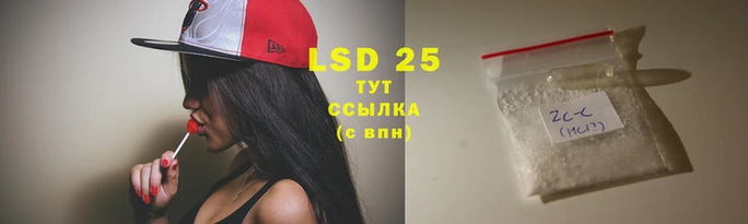 прущие крисы Елизово